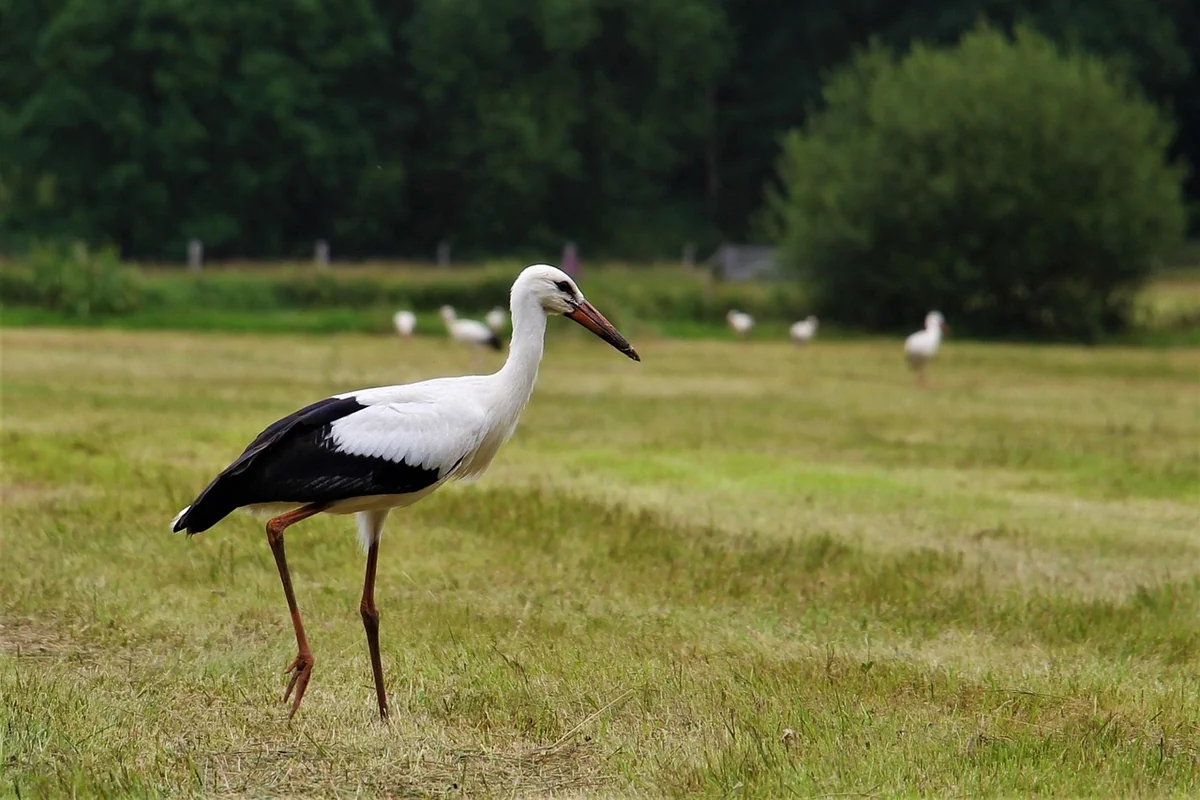 Les 5 piliers du business plan « vivant » 2026